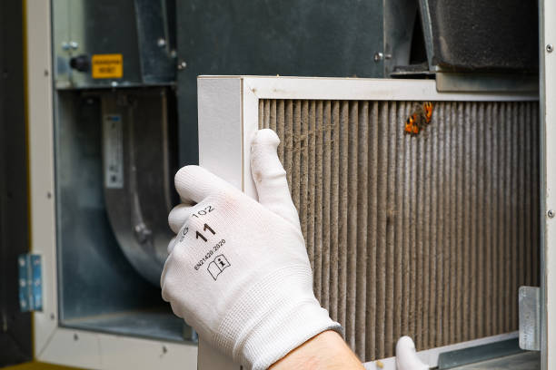 Best Residential Air Duct Cleaning  in New Mford, IL